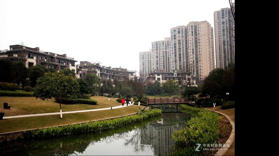 职业经纪人msii田