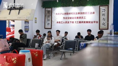 秀沿路劳务市场 务工青年逐梦上海的 第一站