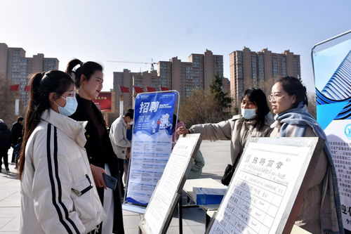 河北清苑 春风行动 架起招聘求职 连心桥