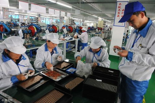 打卡50天就拿8000块返费,这样的劳务中介你敢信任吗