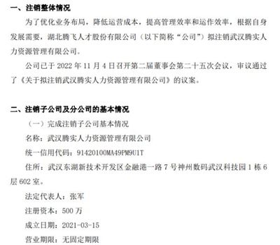 腾飞人才拟注销武汉腾实人力资源管理