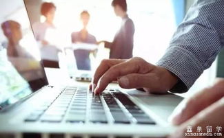 澳洲留学就业指南 靠谱专业推荐与实用求职攻略